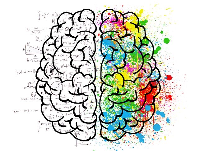cerebro de colores