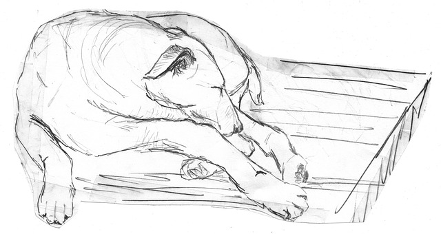 dibujo-animal-perro-durmiendo