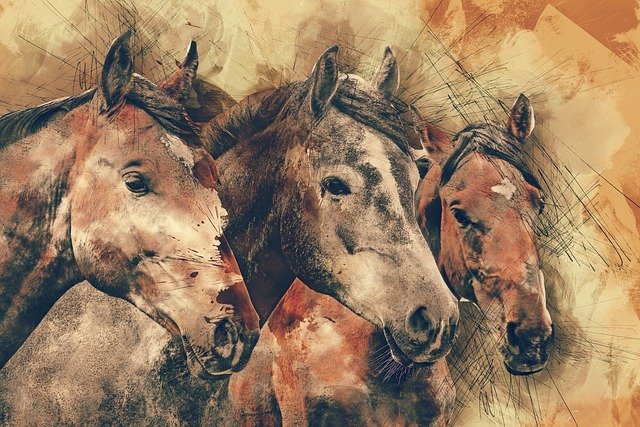 dibujar-animales-caballos-a-color