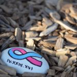 pintar piedras recordatorio de fecha