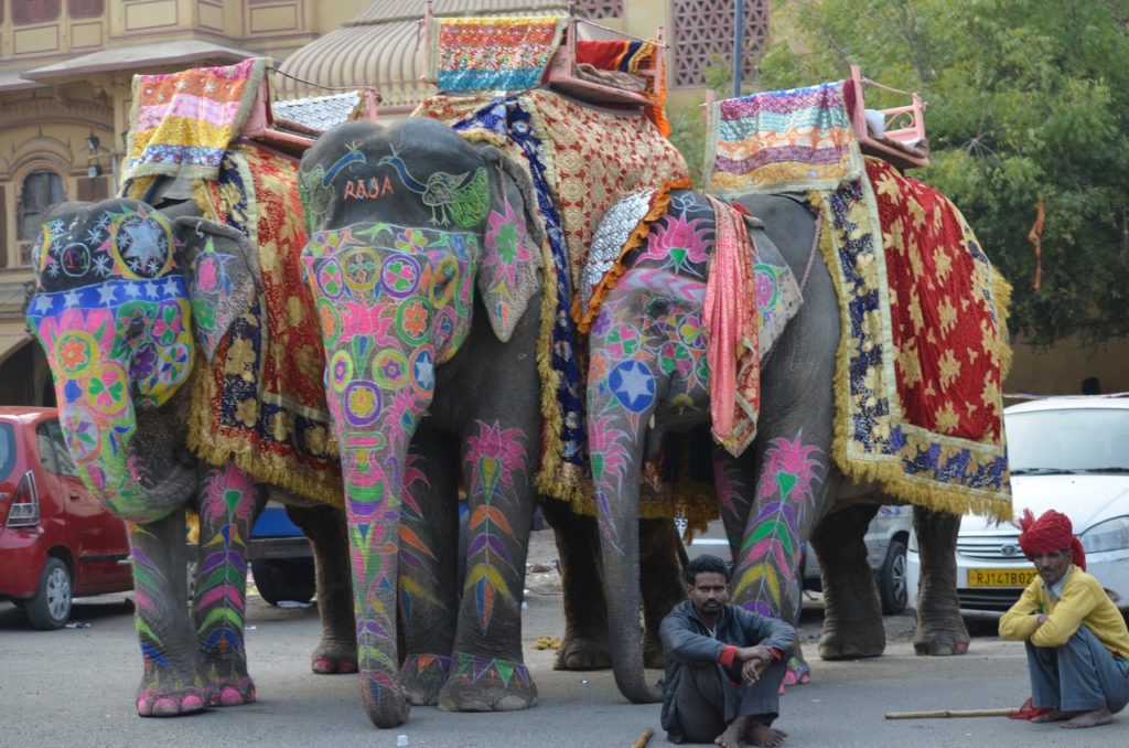 elefantes pintados con pintura corporal